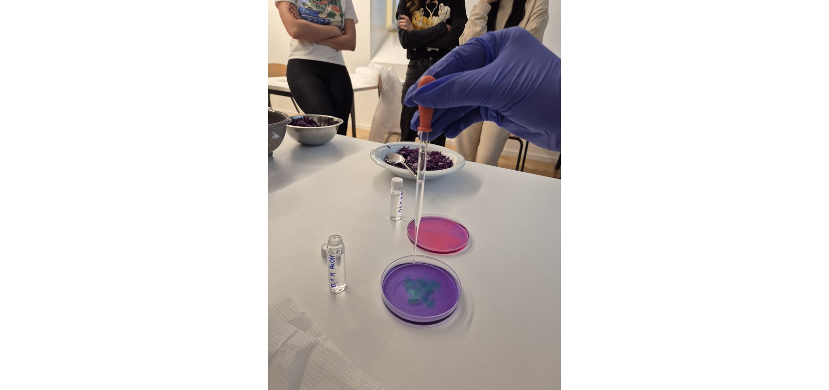 Kemijski čari hrane: laboratorijske vježbe studenata kolegija “Kemija hrane i kuhanja”